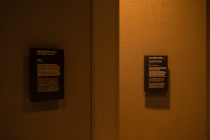 Melawan Tanpa Gentar